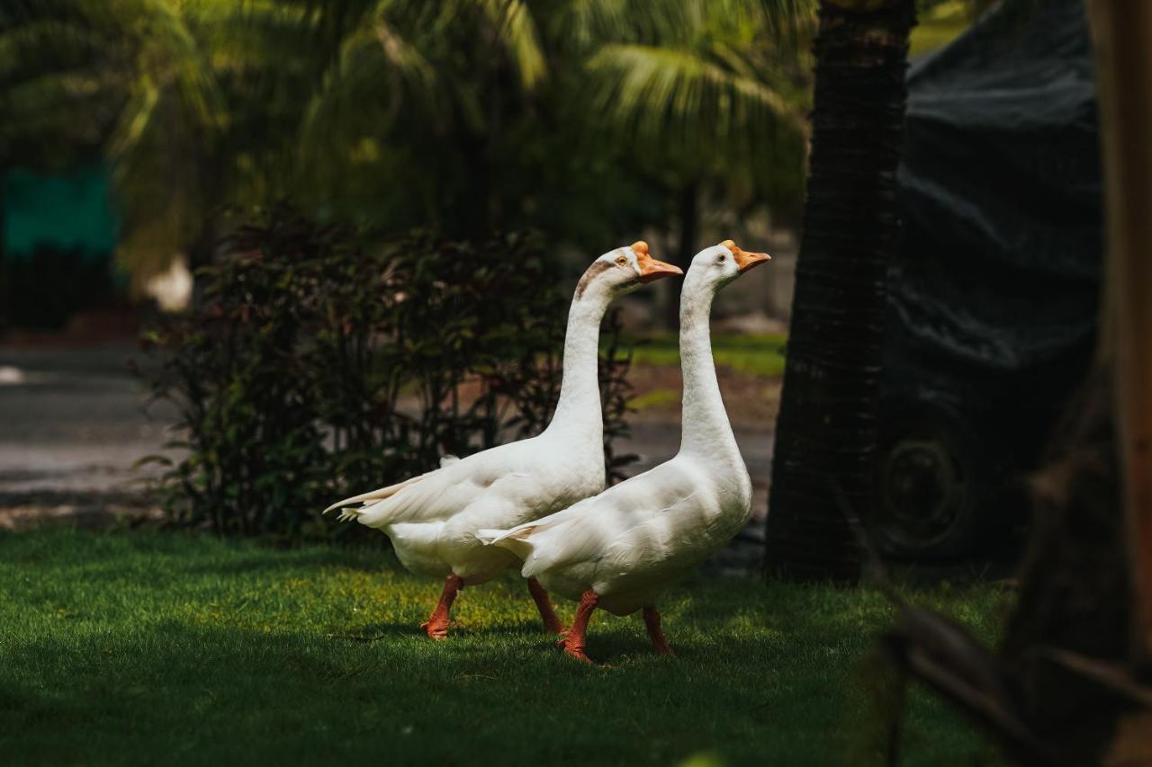 The Kerala Village, Shahapur Shenwa ภายนอก รูปภาพ